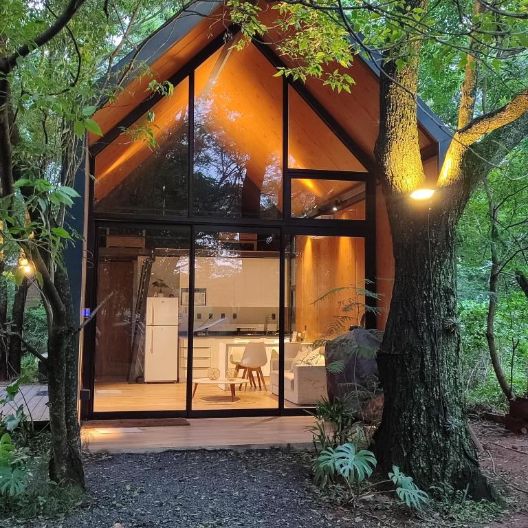 a glass house in the woods with a tree at Tokai Surubi'i in Colonia Mariano Roque Alonso