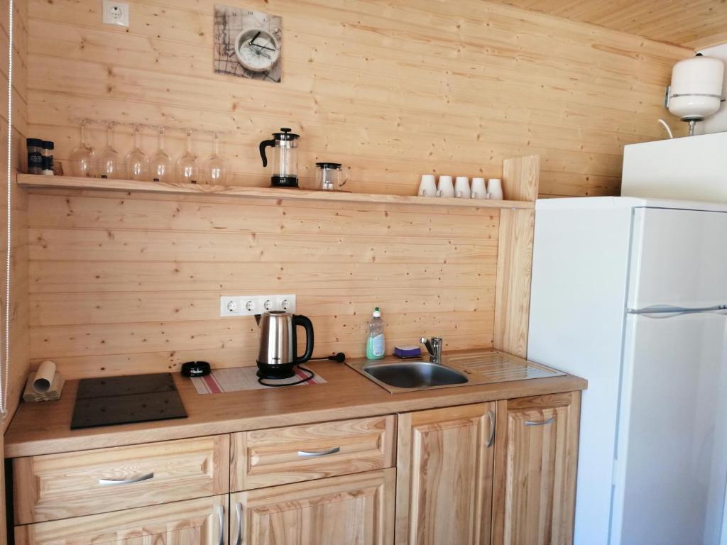 Kuchyň nebo kuchyňský kout v ubytování Kauksi Puhkemaja