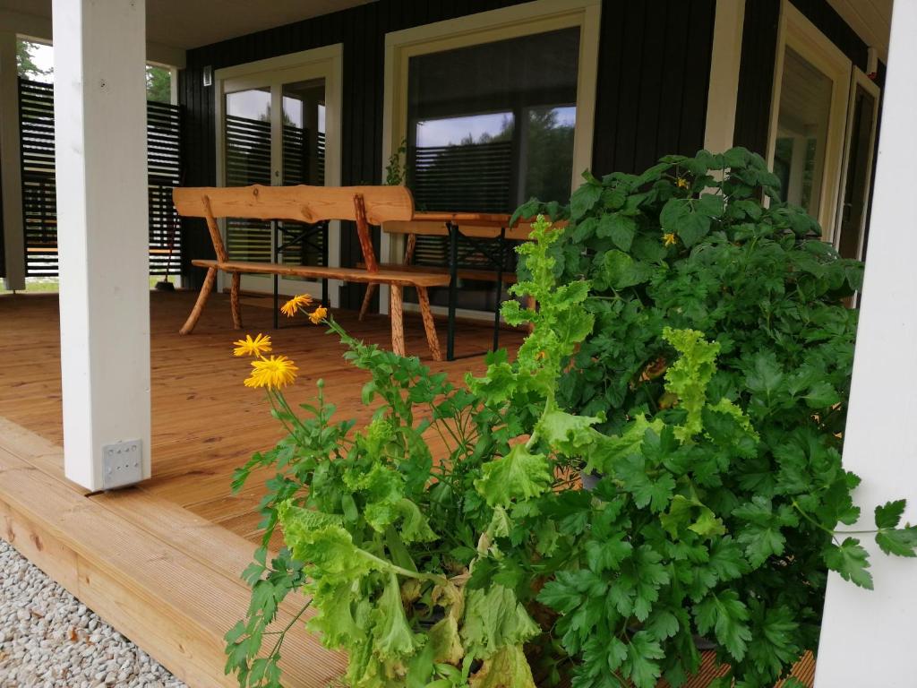 Balkón nebo terasa v ubytování Kauksi Puhkemaja