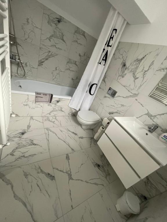 un baño con inodoro y lavabo en Gabriela Studio Central, en Satu Mare