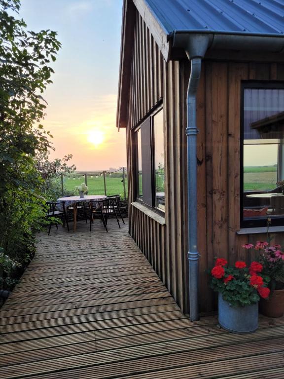 a house with a wooden deck with a table at Dijksterhuisje in Pieterburen