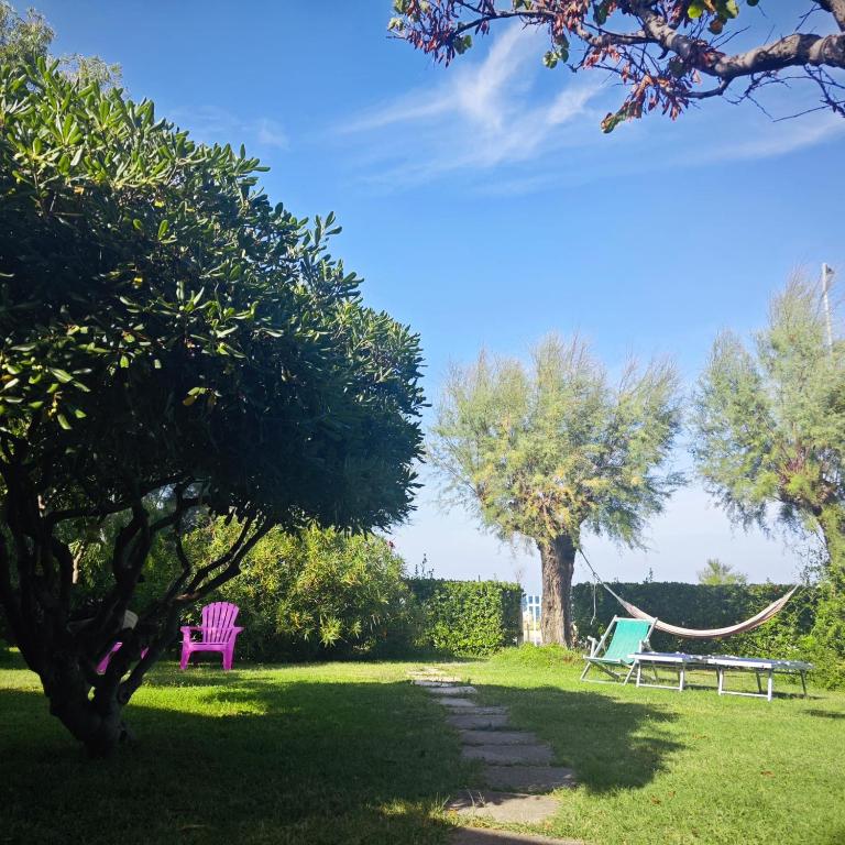 Zahrada ubytování B&B I versi del mare