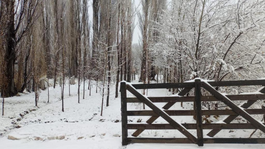 a wooden bench in a snow covered forest at Finca Los Arrieros - Malargüe in Malargüe