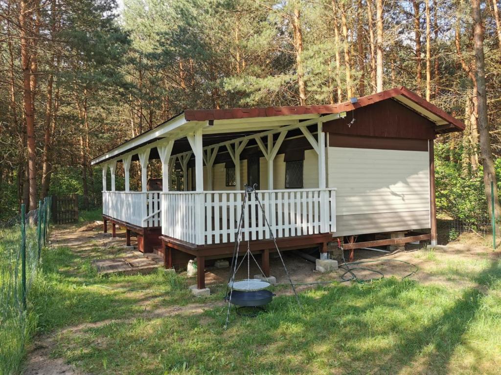 a gazebo in the middle of a forest at Leśna Holenderka in Nowa Brzeźnica