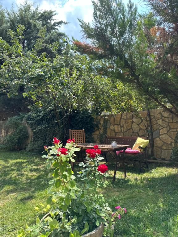 Pirgos Gerodimou - 17