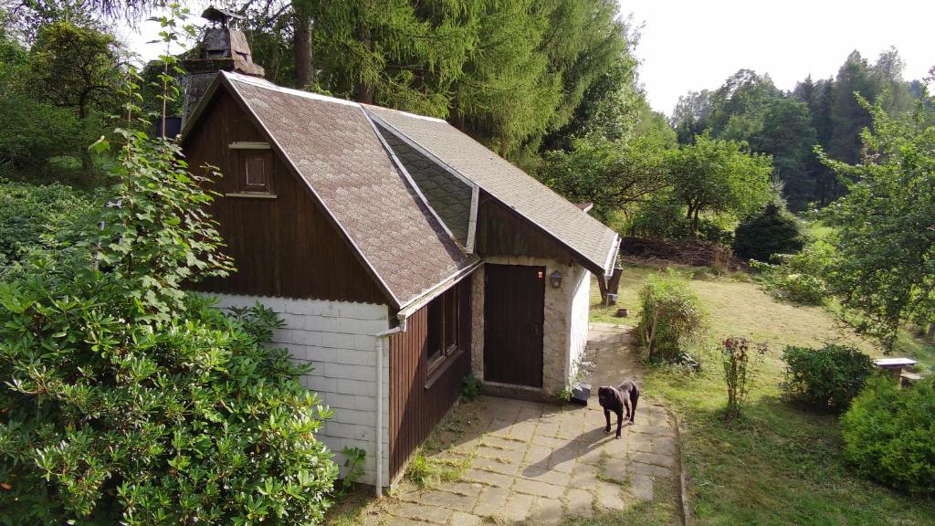 a building with a dog standing outside of it at Idylissches Ferienhäusle im Thüringer Wald in Suhl