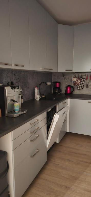 Kuchyň nebo kuchyňský kout v ubytování Saska apartment