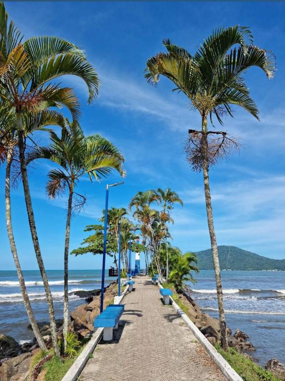 a path along the beach with palm trees and benches at Pousada Taiwan in Ubatuba