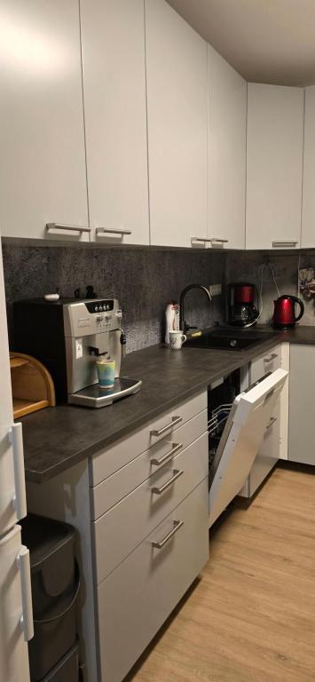 Kuchyň nebo kuchyňský kout v ubytování Saska apartment