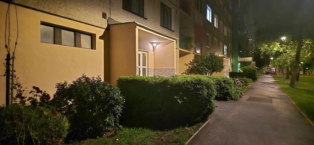 Zahrada ubytování Saska apartment