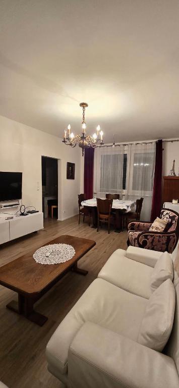 TV a/nebo společenská místnost v ubytování Saska apartment