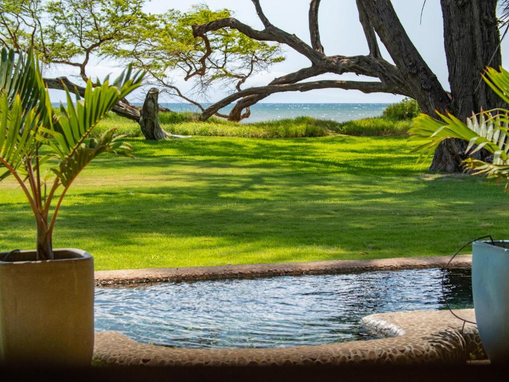 Zahrada ubytování Aloha Aku Honu2 Suite - Relax by the Sea in Tranquility