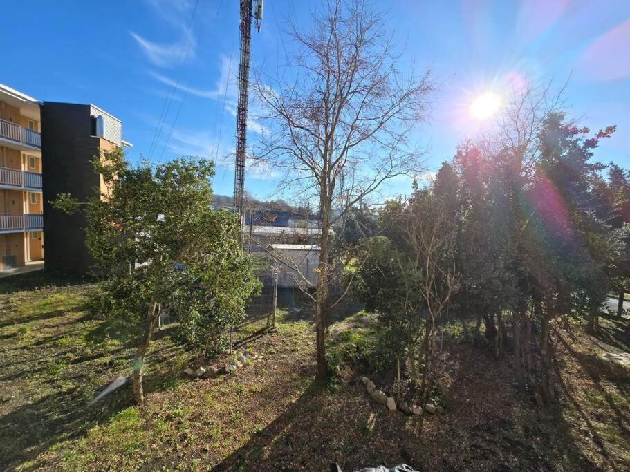Jardin de l'établissement Departamento en Pucón con buena ubicación