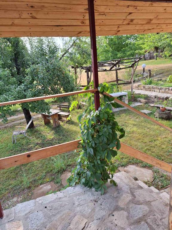 Zahrada ubytování Ecopark Sadzhaka