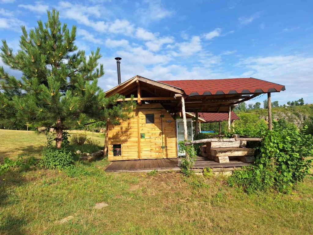 Zahrada ubytování Ecopark Sadzhaka