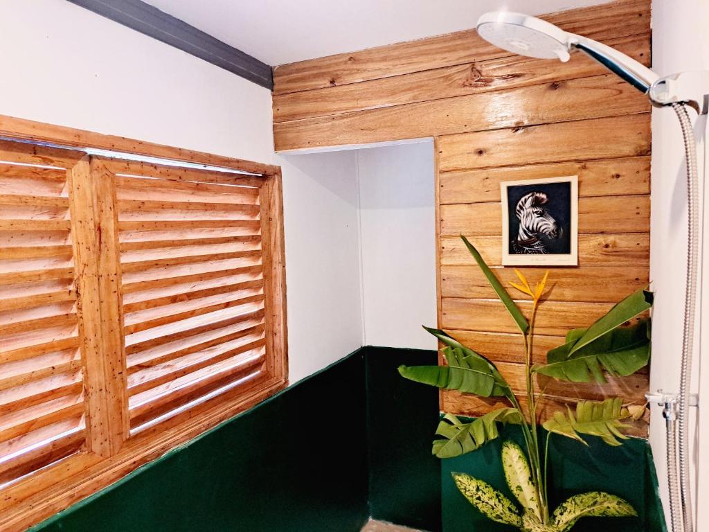 Fotografie z fotogalerie ubytování The View - Jungle Lodges - Port Barton v destinaci San Vicente