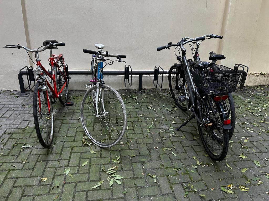 Old Cracow Apartment - 15