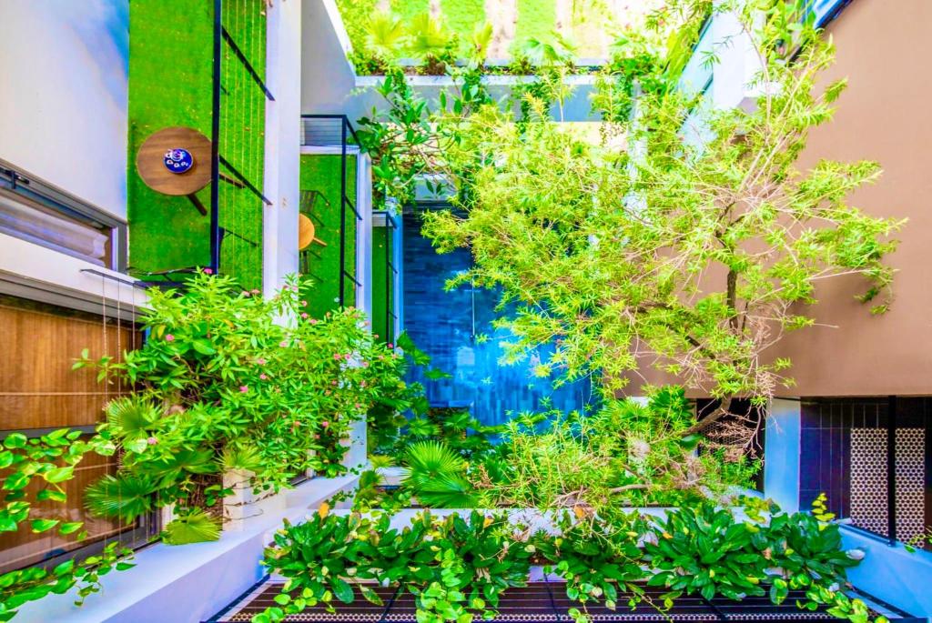 Vườn quanh John Boutique Villa