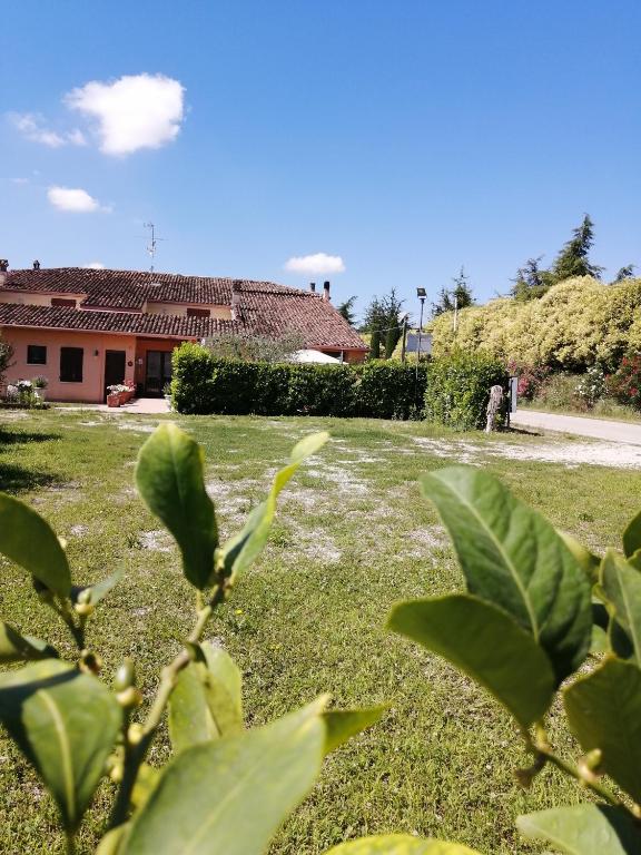 Κήπος έξω από το Agriturismo Nuvolino