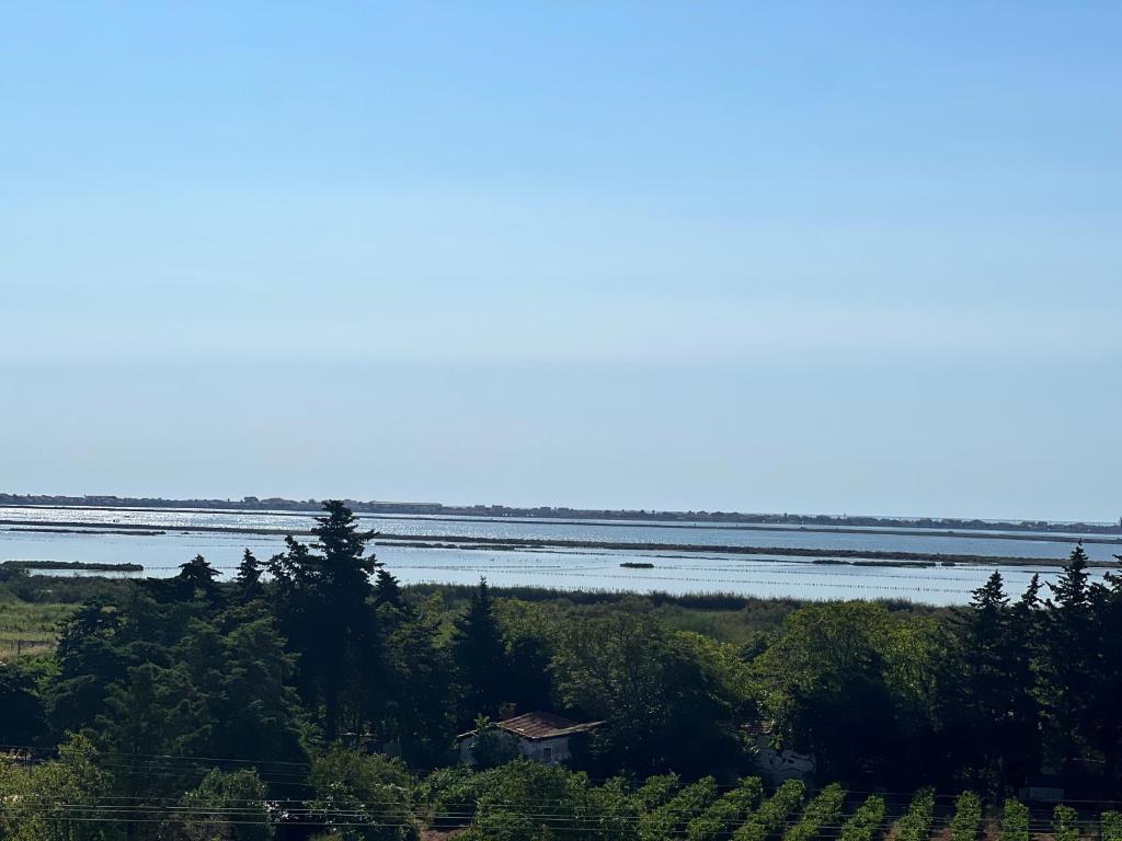 Paesaggio naturale nelle vicinanze dell'appartamento