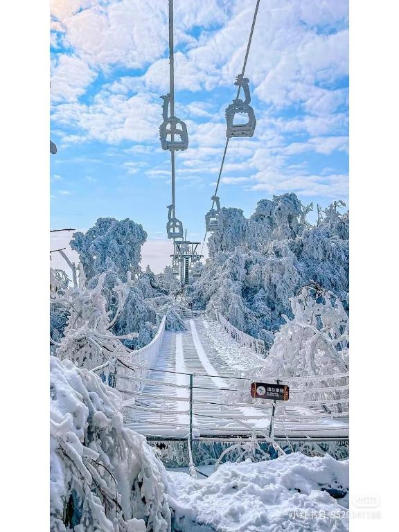 Just waiting for you-Tianmen mountαin-English reception-Book ticket service v zimě