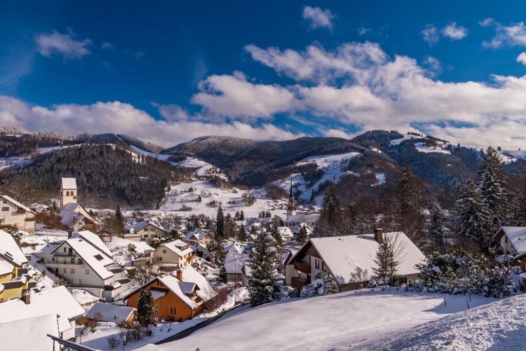 a town covered in snow with mountains in the background at Haus Am Bühl in Schönau im Schwarzwald