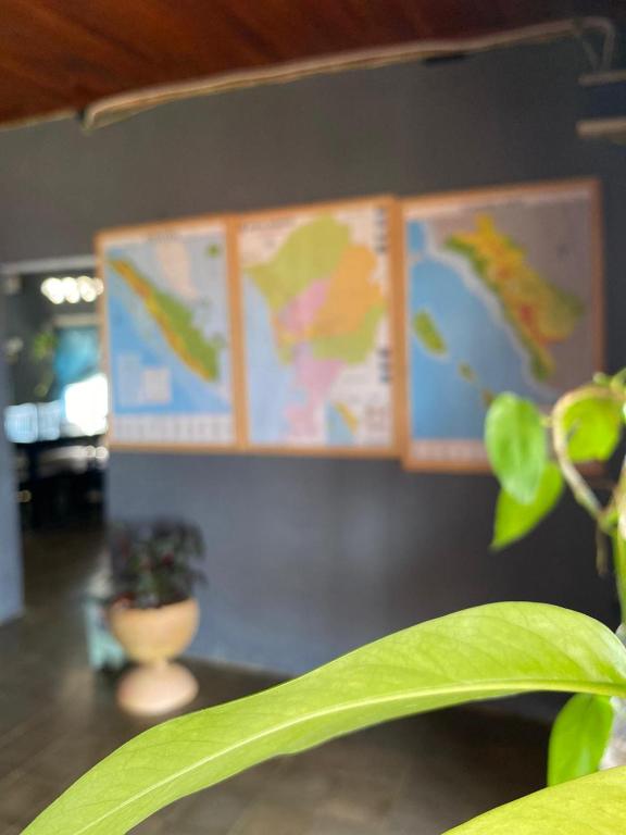Fotografie z fotogalerie ubytování Evergreen Lodge v destinaci Padang