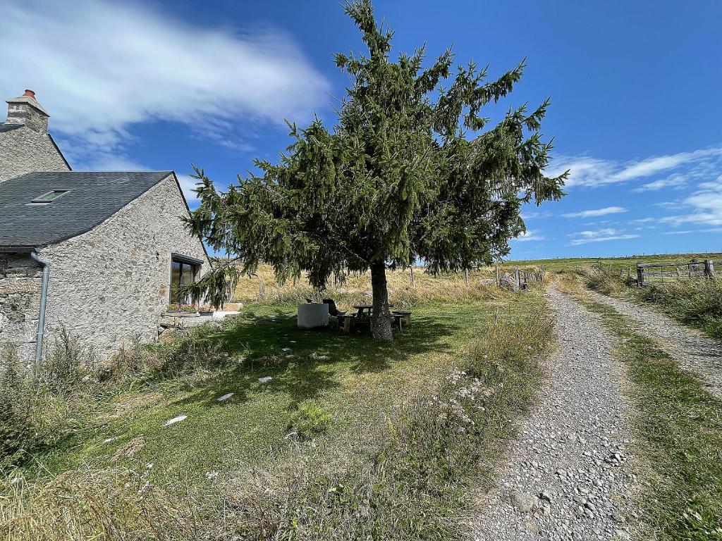un arbre sur le côté d'une route à côté d'un bâtiment dans l'établissement L’oustal, à Nasbinals
