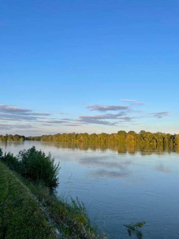 Vue sur une rivière avec des arbres en arrière-plan dans l'établissement Chambres privées au dessus du restaurant Nuances, à La Chapelle-sur-Loire