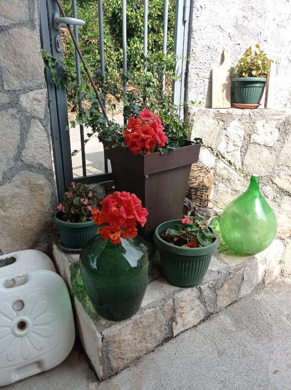 Apartments Nino Skadar lake - 3