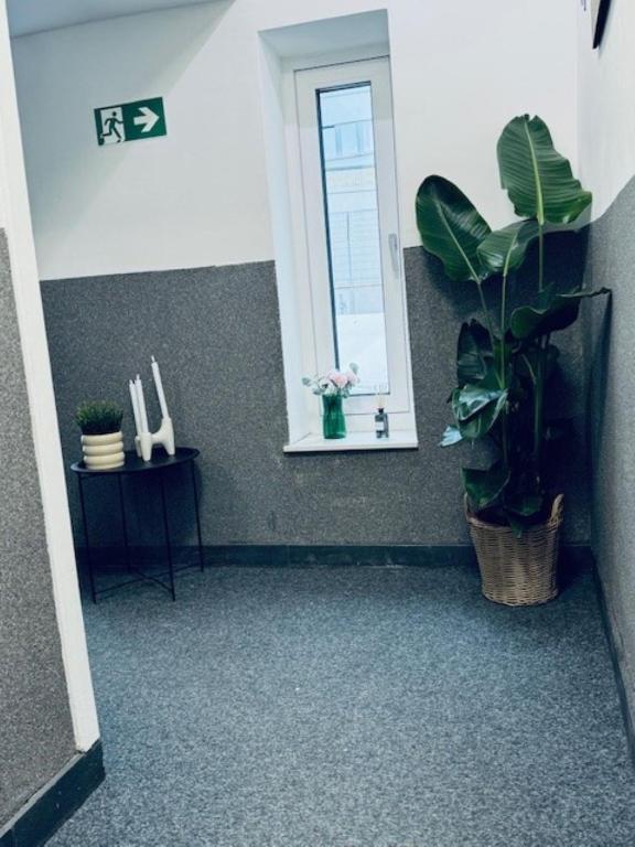 Hotel Charlton - Resim 12