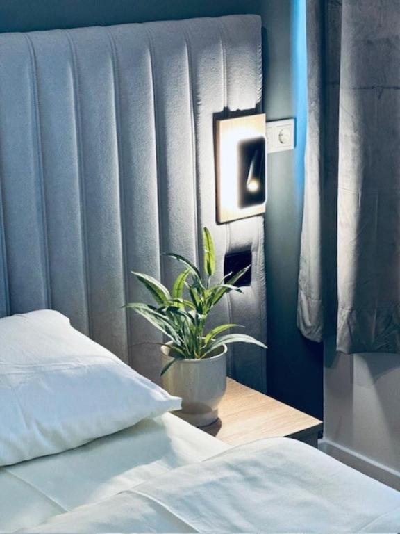 Hotel Charlton - Resim 29