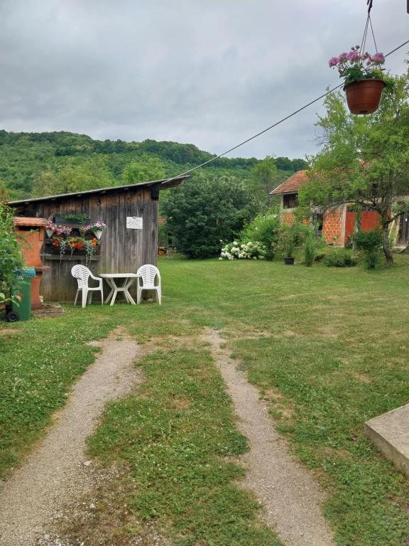 Príroda v okolí apartmánu