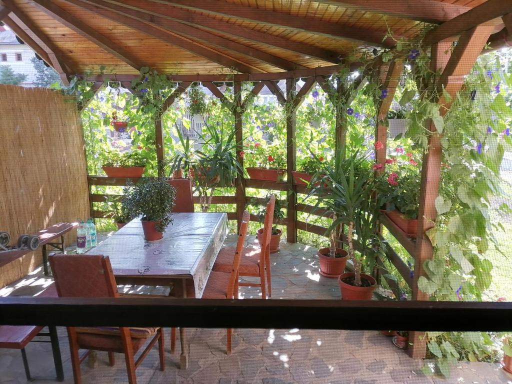 a wooden pergola with a table and potted plants at Casa Emma in Vişeu de Jos