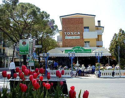 un grupo de flores rojas delante de un edificio en Hotel Garni Tosca en Lido di Jesolo