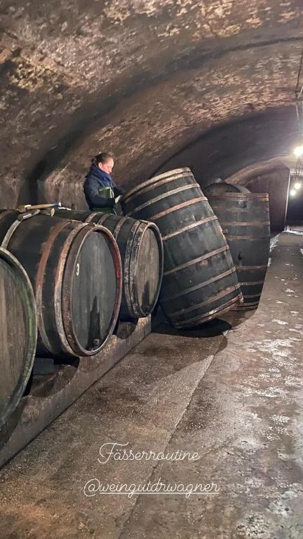 Hosté ubytování Weingut Dr Wagner