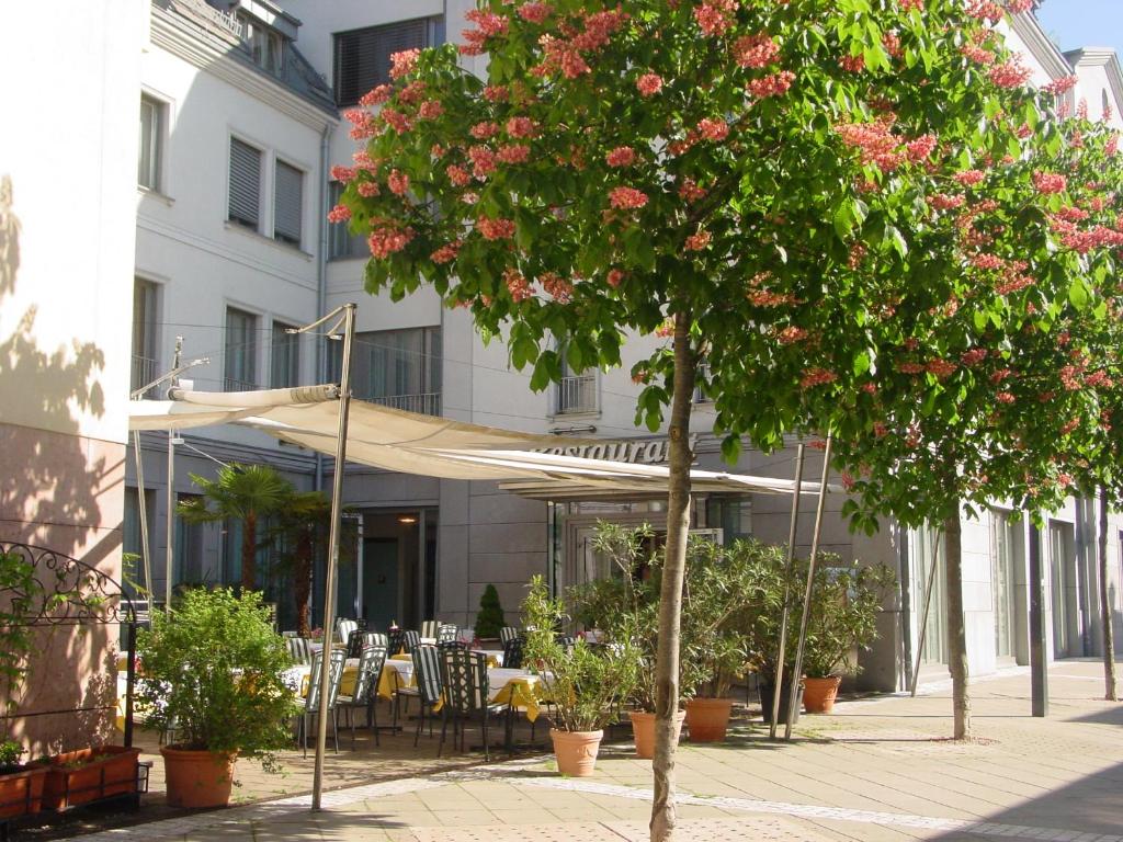 Zahrada ubytování Hotel Exel
