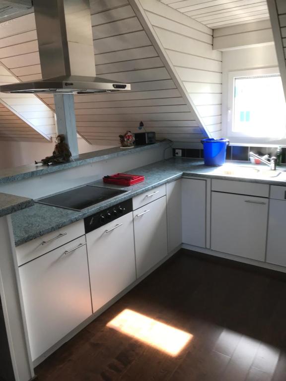 Kuchyň nebo kuchyňský kout v ubytování Ferienwohnung zentrale ruhige Lage auch gerne mit Kindern