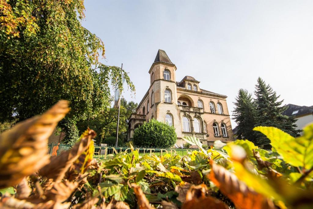 Zahrada ubytování Weingut Dr Wagner