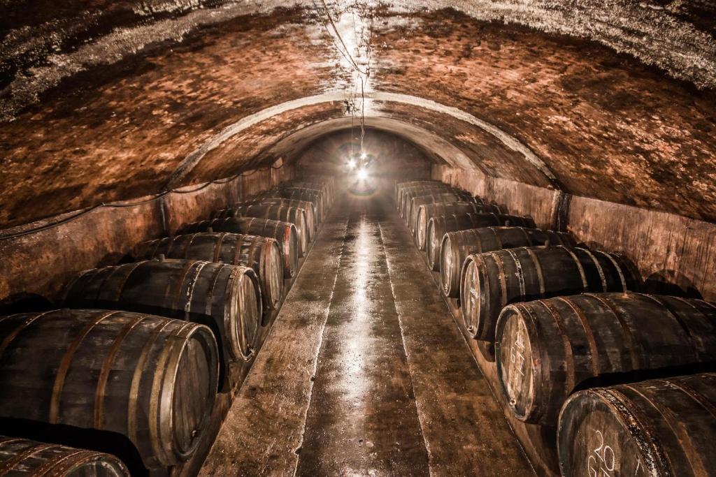 Fotografie z fotogalerie ubytování Weingut Dr Wagner v destinaci Saarburg