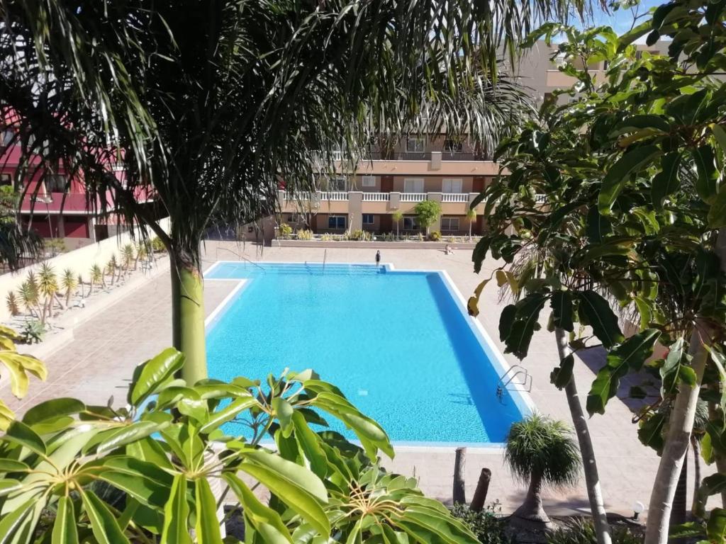 an empty swimming pool in a resort with trees at Residence La Perla in El Médano