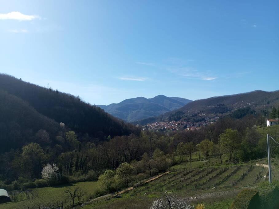 Příroda nedaleko apartmánu