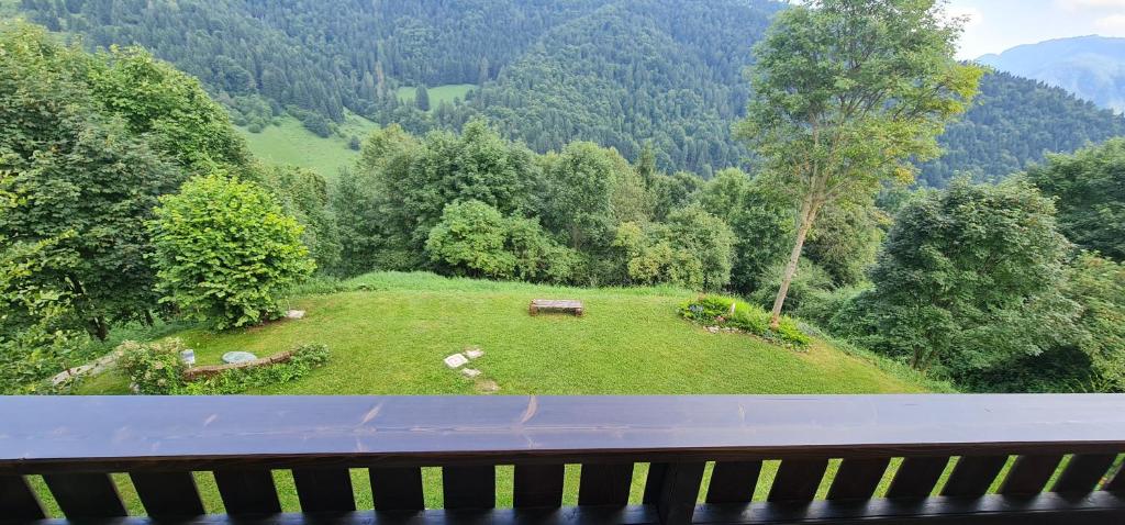 Příroda nedaleko apartmánu