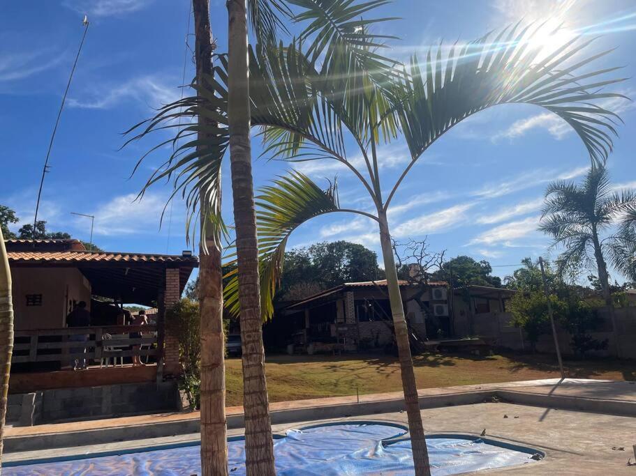 two palm trees in front of a swimming pool at Chácara Recanto Monjolinho in Planaltina