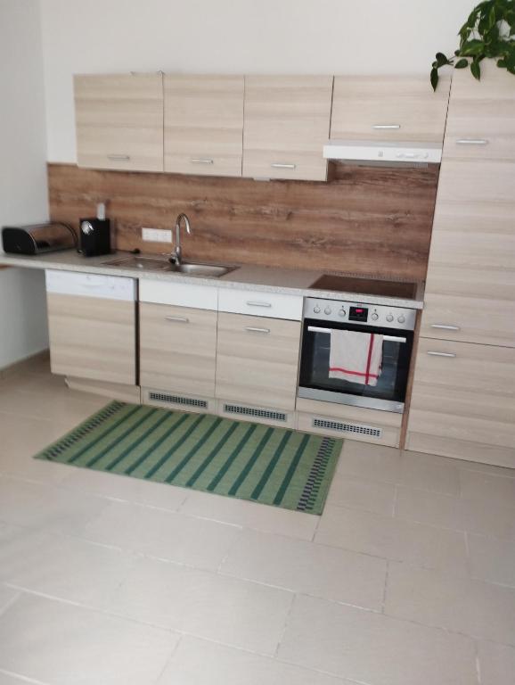 Kuchyň nebo kuchyňský kout v ubytování Gemütliches Appartement