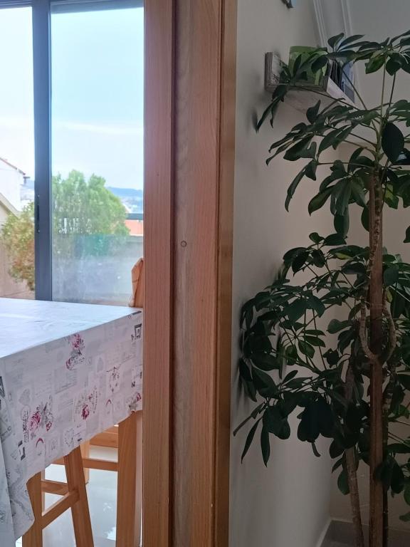 Kép Anamari's szállásáról Portonovóban a galériában