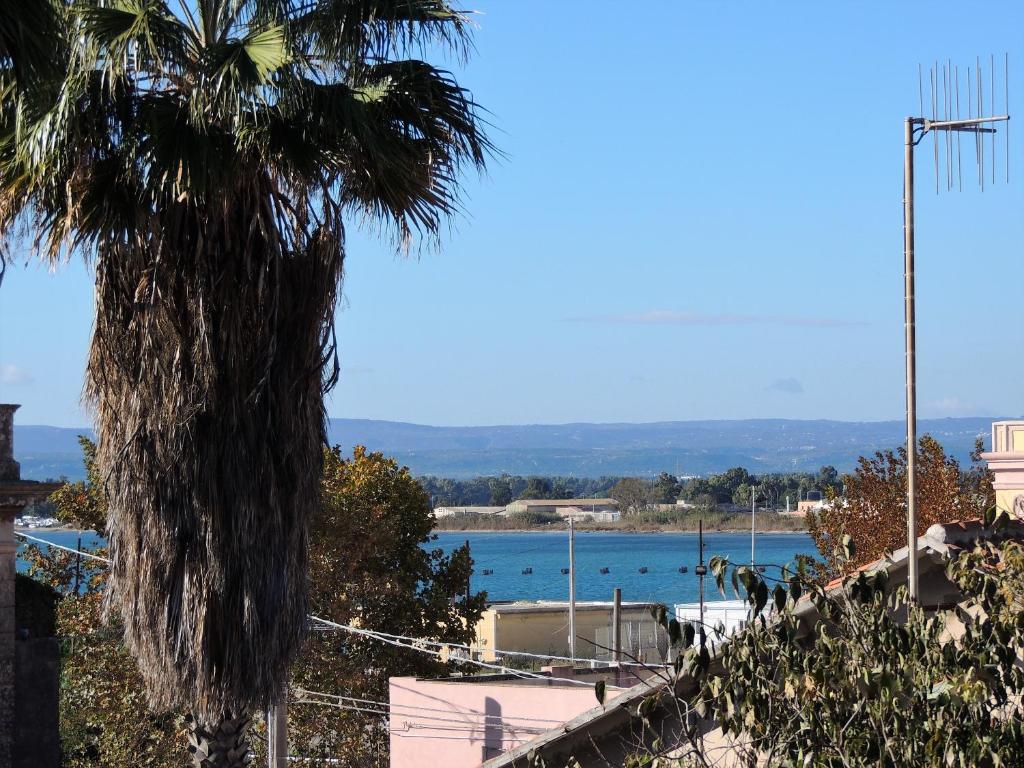 a palm tree sitting next to a body of water at B&B Nike - Rooms Only in Siracusa