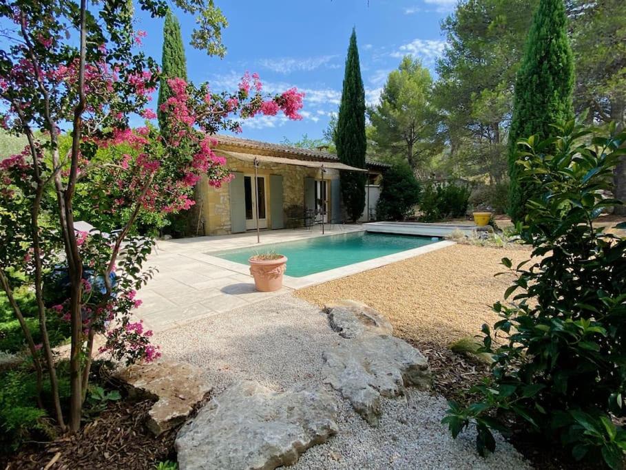 une maison avec une piscine dans un jardin dans l'établissement Mazet Rigodon Alpilles, à Eygalières