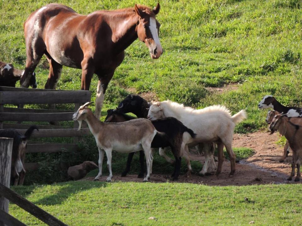  Hotel e Pousada Recanto do Rio Pardo