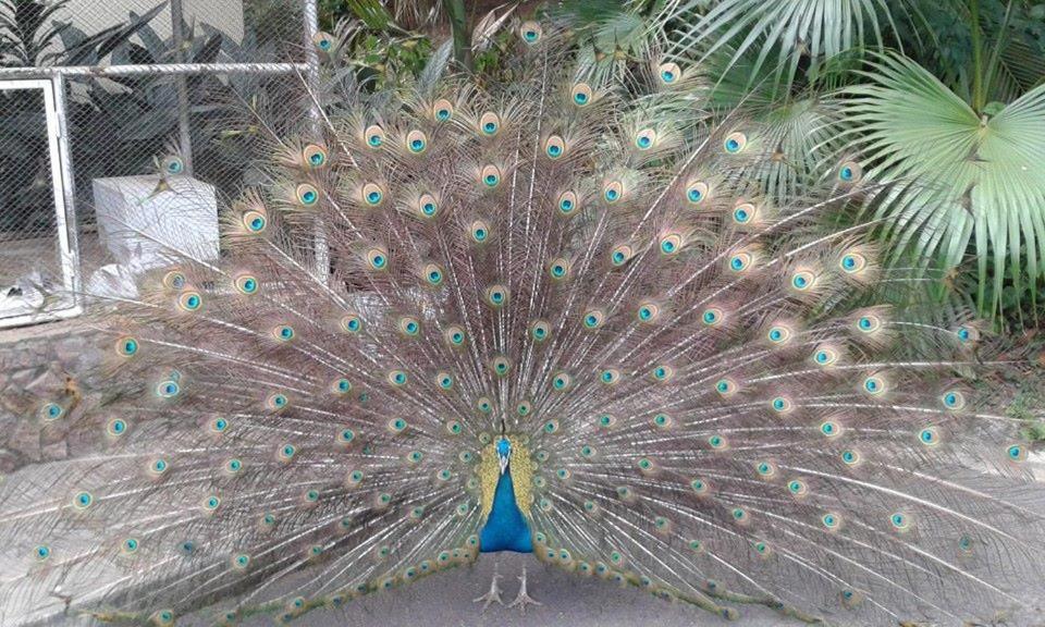  Hotel e Pousada Recanto do Rio Pardo